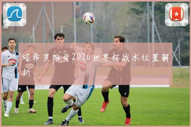 塔希罗维奇2026世界杯战术位置解析