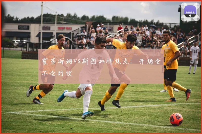 霍芬海姆vs斯图加特焦点：开场会不会对攻