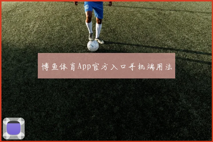 博鱼体育App官方入口手机端用法