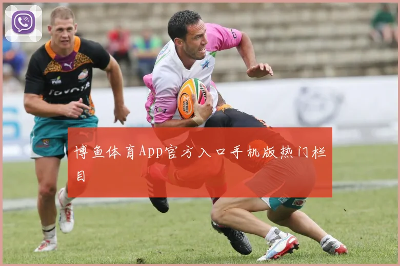 博鱼体育App官方入口手机版热门栏目