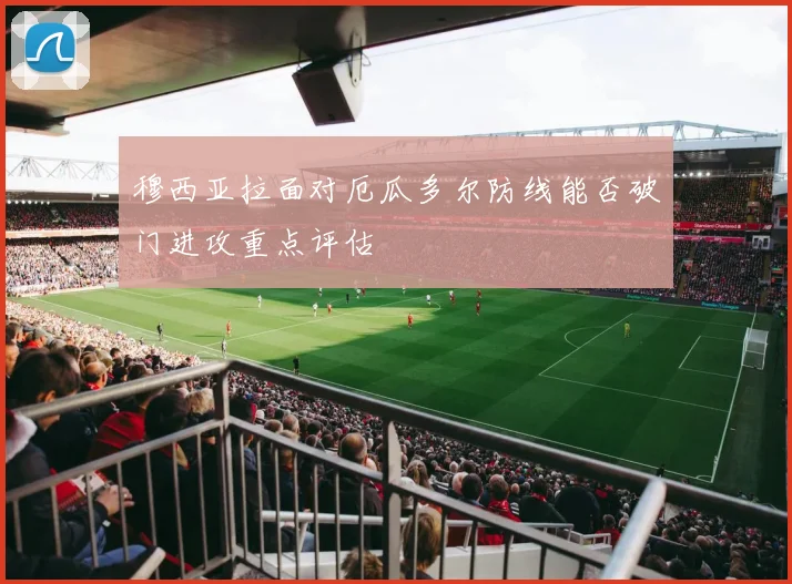 穆西亚拉面对厄瓜多尔防线能否破门进攻重点评估