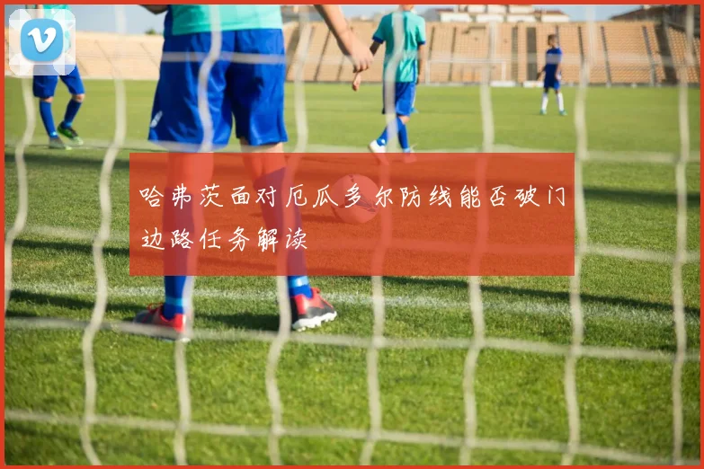 哈弗茨面对厄瓜多尔防线能否破门边路任务解读