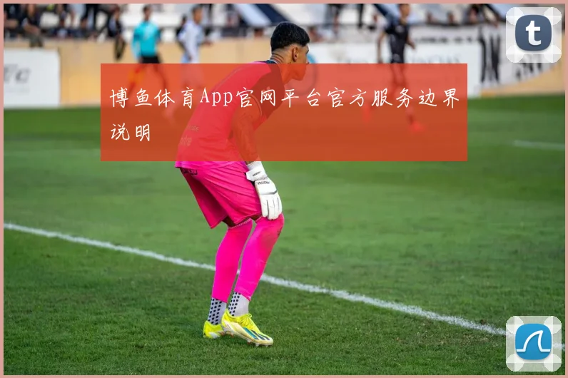 博鱼体育App官网平台官方服务边界说明