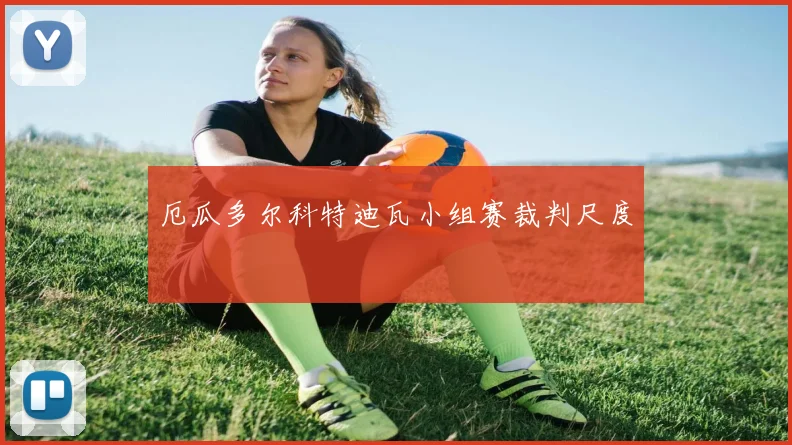 厄瓜多尔科特迪瓦小组赛裁判尺度