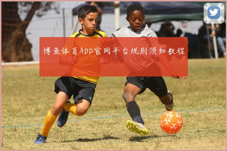 博鱼体育App官网平台规则须知教程