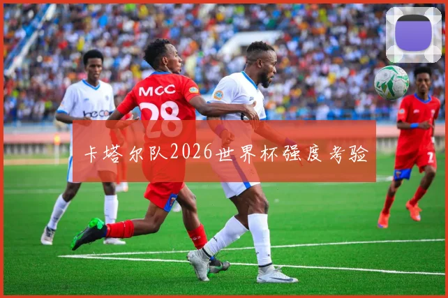 卡塔尔队2026世界杯强度考验