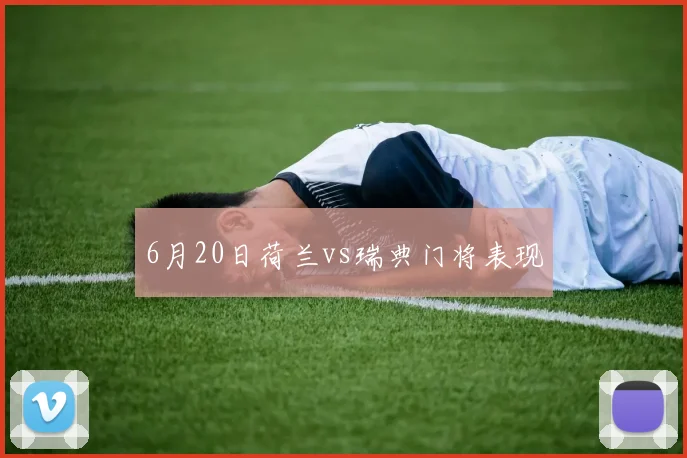 6月20日荷兰vs瑞典门将表现