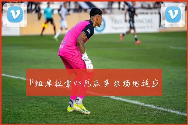 E组库拉索vs厄瓜多尔场地适应